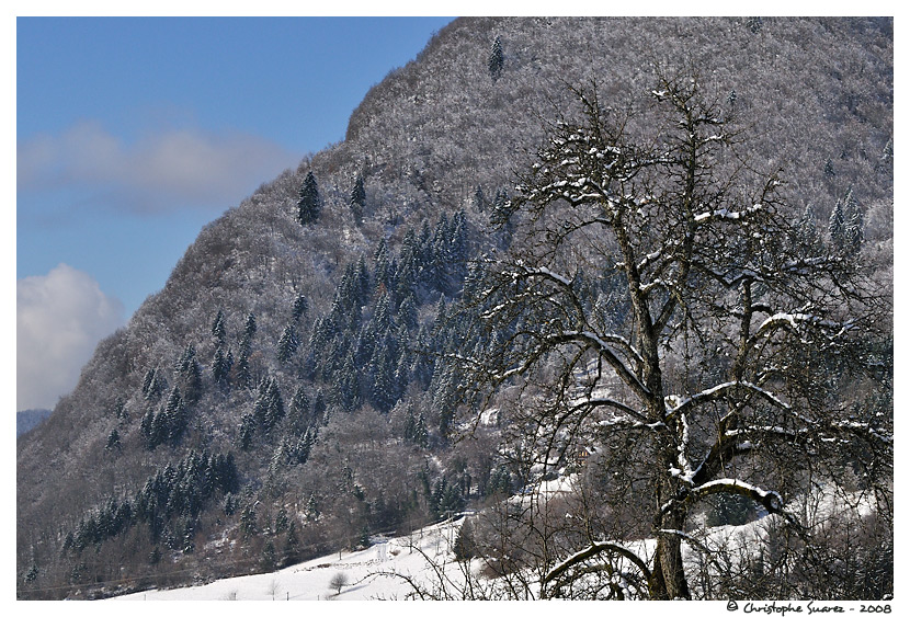 Paysage de montagne - une automne prcoce - Alpes - Haute-Savoie
