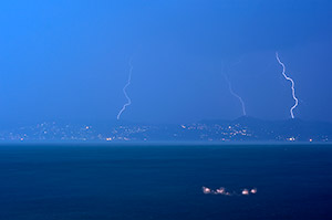 Cygne d'orage - Lac Léman